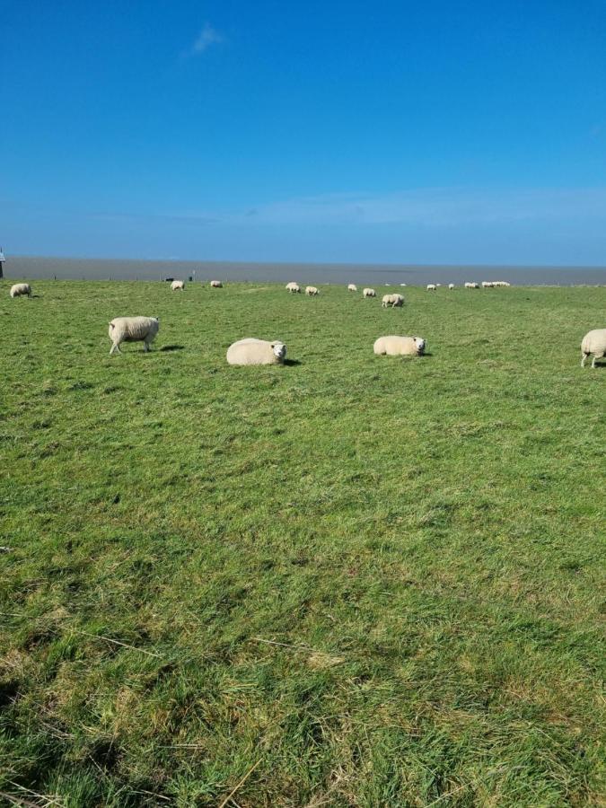 Meerblick Wattenmeer ,50M Vom Meer,Strand 300M Westerland Kültér fotó